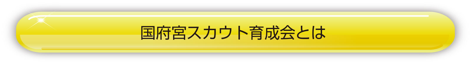 ボーイスカウト育成会とは
