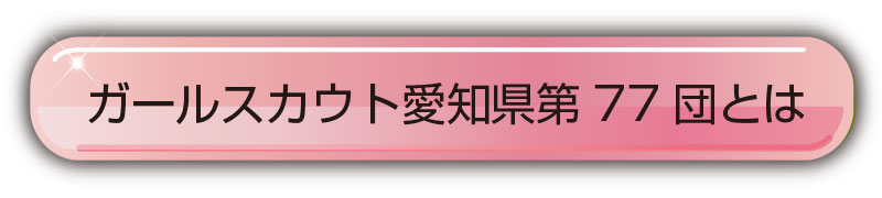 ガールスカウト愛知県第77団とは