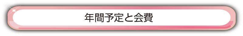 ガールスカウト年間予定と費用